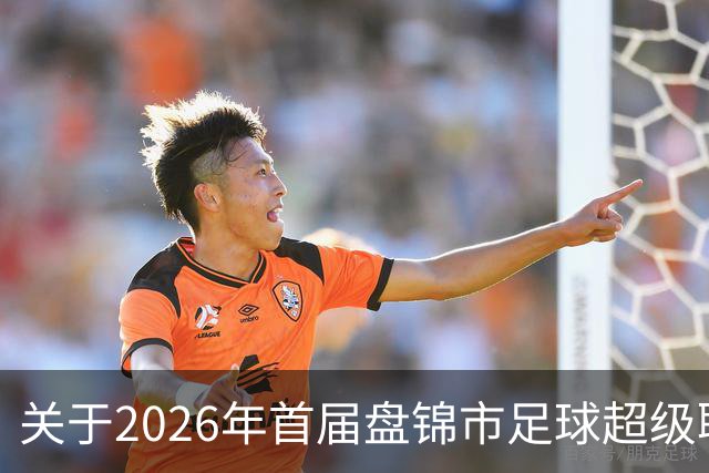 关于2026年首届盘锦市足球超级联赛闭幕式期间公共交通服务保障的通告