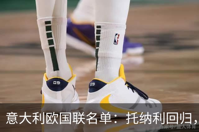 意大利欧国联名单：托纳利回归，卡拉菲奥里在列