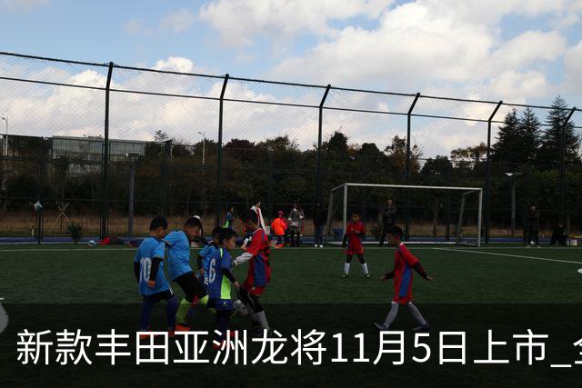 新款丰田亚洲龙将11月5日上市 全新外观内饰 提供燃油版和混动版