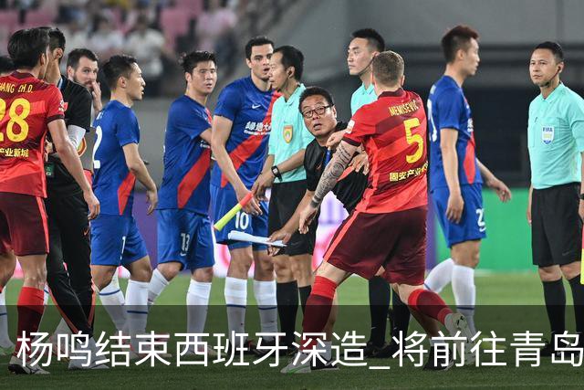 杨鸣结束西班牙深造 将前往青岛观摩男篮集训