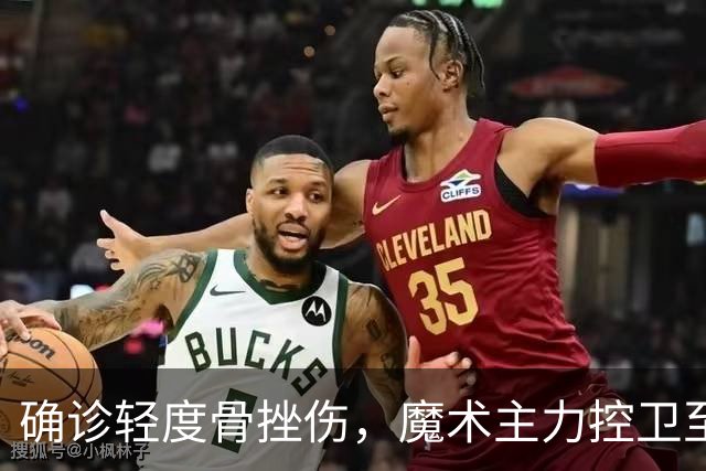 确诊轻度骨挫伤，魔术主力控卫至少缺阵两周