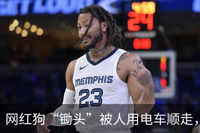 网红狗“锄头”被人用电车顺走，并以180元转卖遭宰杀，最新进展：“锄头”主人已收到30万元和解费，计划将全部捐给宠物救助机构