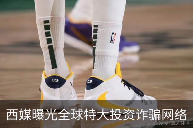 西媒曝光全球特大投资诈骗网络