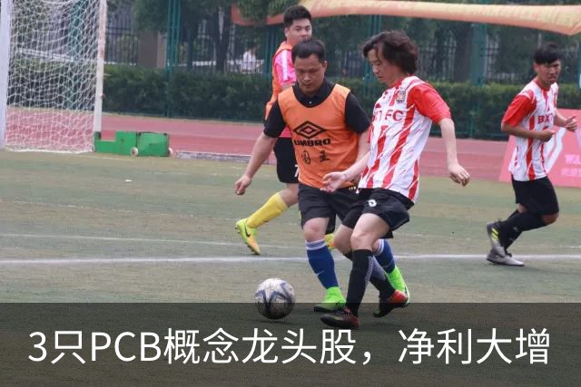 3只PCB概念龙头股，净利大增