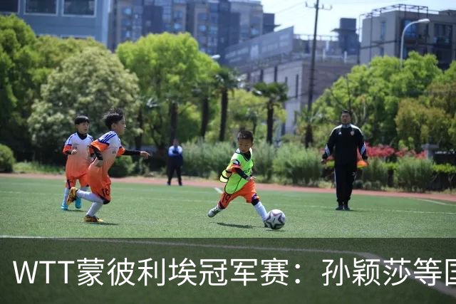 WTT蒙彼利埃冠军赛：孙颖莎等国乒选手晋级16强